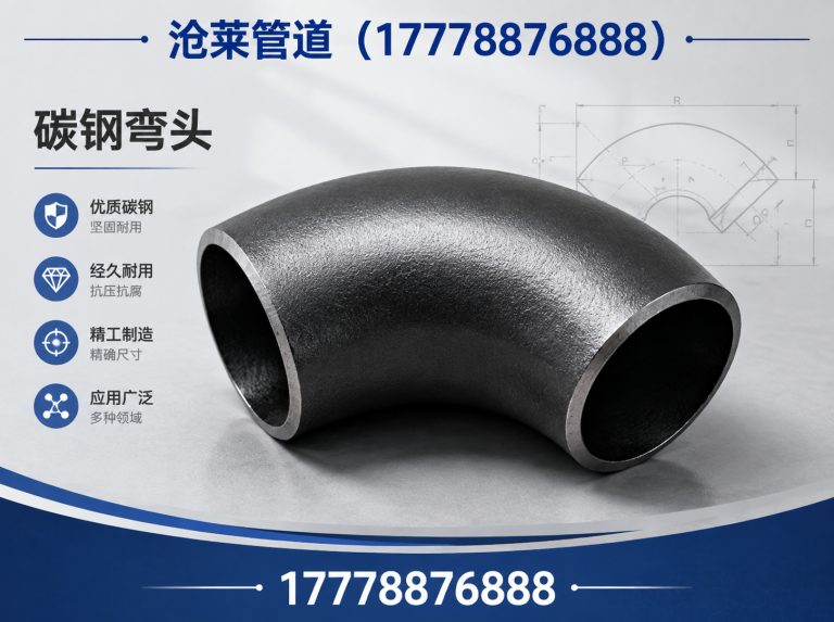 东光县沧莱管道展示图